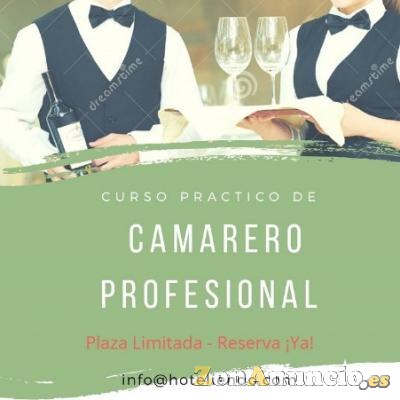 Curso Práctico de Camarero/a Profesional